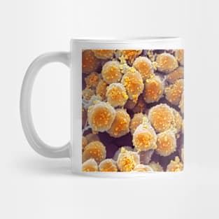 Archaea, SEM (C020/7189) Mug